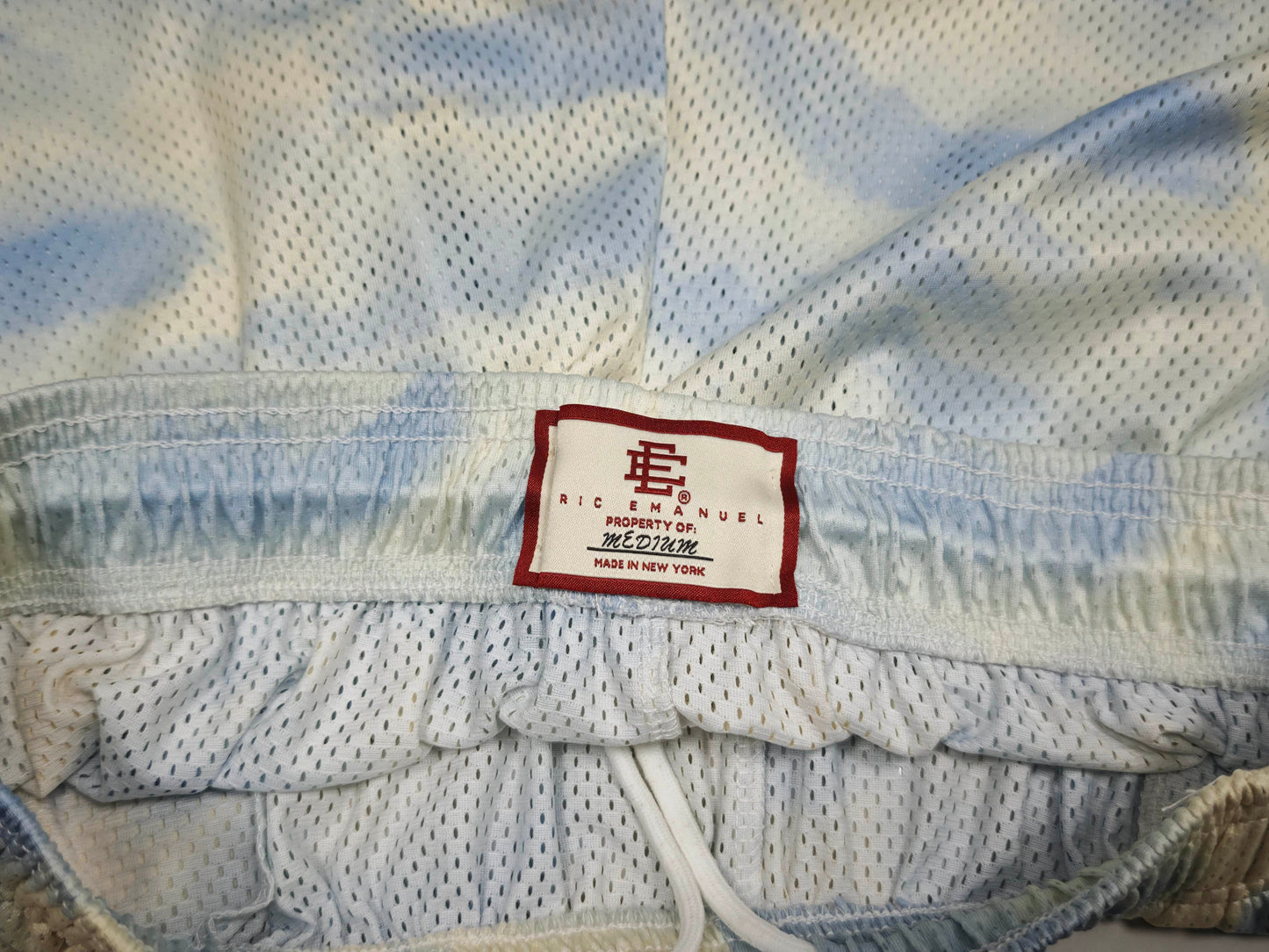 EE Basic Mesh Shorts Skyline