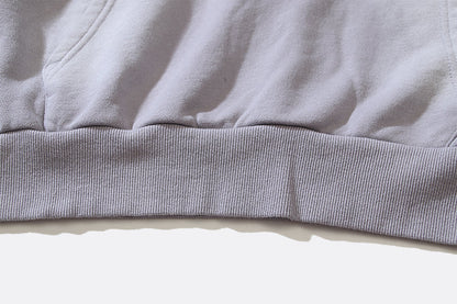 Hellstar Sport Hoodie grey
