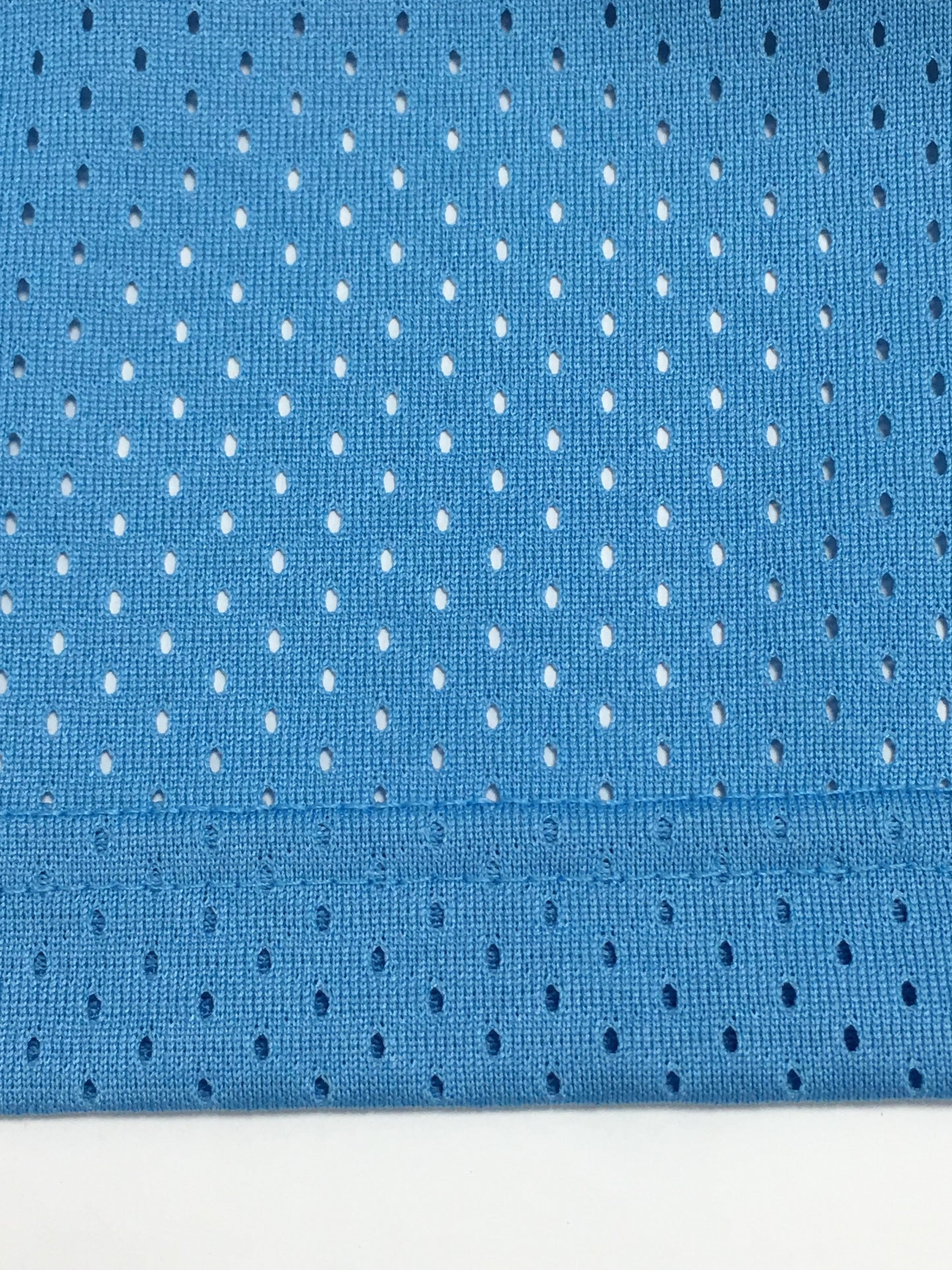 Eric Emanuel EE Basic North Carolina Shorts Blue